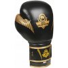 Boxerské rukavice DBX BUSHIDO B-2v13 10 oz