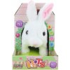 Lamps Plyš králík na baterie