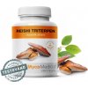 Mycomedica Reishi Triterpen medicinálna huba 90 kapsúl