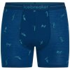 Icebreaker M Mer 150 Anatomica Boxers Ski Day