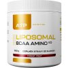 ATP Nutrition Liposomal BCAA Amino 300 g lesné ovocie