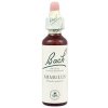 A. Nelson MIMULUS - Čarodejka škvrnitá Objem: 20 ml