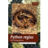 Python regius