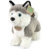 Rappa Plyšový pes husky stojaci 23 cm ECO-FRIENDLY