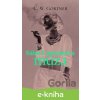 E-kniha Saint Laurentova múza - Christopher W. Gortner