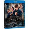 Fantastická zvířata a kde je najít - Blu-ray