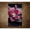 Obraz - Orchidea na kameni 90x60cm
