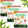 Kinoki SC6010 Detoxikačné náplasti 30ks
