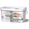AUSTIS ETERNAL IN SILVER - Antibakteriálna interiérová farba biela 4 kg