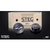 STEG MSS1