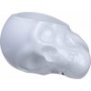 Miska Memento Mori lebka 13 cm biela