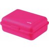 Oxybag box na desiatu rose mat