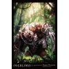 Overlord, Vol. 15 (light novel)