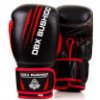 Boxerské rukavice DBX BUSHIDO ARB-415 10 oz