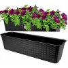 Prosperplast RATOLLA CASE P truhlík s miskou 58,7x17,3x15cm antracit ISR600P