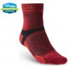 Bridgedale Trail Run LW T2 MS Crew red
