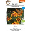 Culinaris Tagetes Kolibri - 1 bal.