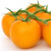 Paradajka Goldkrone - Solanum lycopersicum - semená - 10 ks