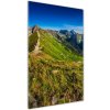 Vertikálny moderný foto-obraz akryl na stenu Tatry 50x100 cm