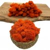 Stabilizovaný mach - lišajník - oranžová 1kg