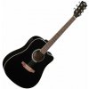 Eko guitars Ranger CW EQ Black Elektroakustická gitara Dreadnought