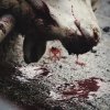 To the Grave: Director's Cuts - CD