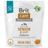 Brit Care Dog Grain-free Senior&Light 1kg