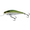 Wobler Salmo Executor SR 7cm 8g FL Olive Bleak