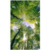 DIMEX | Vliesové fototapety na stenu Stromy v oblakoch MS-2-0104 | 150 x 250 cm | zelená, modrá, hnedá + Vliesová fototapeta na stenu DIMEX Stromy v oblakoch MS20104 v rozmere 375 x 250 cm