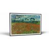 Vincent Van Gogh Van Gogh - Poppy field | Obraz Vintessia v ráme Rozmery obdĺžnik: 40x60, Rám: Čierny matný-alu