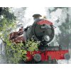 ZUTY Maľovanie podľa čísel - ROKFORTSKÝ EXPRES NA CESTE (HARRY POTTER) Rámovanie: vypnuté plátno na rám, Rozmer: 40x50 cm