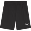 Puma | teamGOAL Shorts | čierna| S