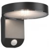 Trio R22251142 LED záhradné nástenné solárne svietidlo so senzorom Posadas 1x4,5W | 3000K | IP44 - s pohybovým senzorom RTRIO RL 22251142