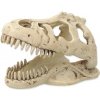 Dekorácia REPTI PLANET T-REX lebka 13,8 cm