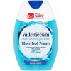 Vademecum Menthol Fresh 2 v 1 zubná pasta a ústní voda v jednom 75 ml