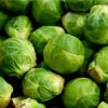 Kel ružičkový Dolores F1 - Brassica oleracea var. gemmifera - semená - 40 ks