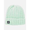 Burton čiapka Plush beanie Jewel Green 300