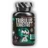 MAXXWIN Tribulus terrestris 90% 60 kapsúl
