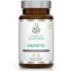 Cytoplan CytoProtect Kidneys komplex pro zdravé ledviny, 60 kapslí