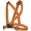 Canis CXS Reflexný elastický KRÍŽ oranžový