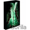 Obraz LED svietiace 30x40, Harry potter - Harry vs. Voldemort