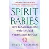 Spirit Babies