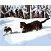 Zuty – Maľovanie Podľa Čísel – Puma Loviaca Zajaca V Snehu (D. Rusty Rust), 80 × 100 cm, Plátno 8596530164067