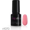 Ráj nehtů UV gél lak Color Me 6g - č.1070