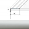 Profilteam E01 schodová lišta Strieborná