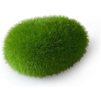 Europet Bernina Aqua Della Moss Ball small 6x4,5x3,5 cm