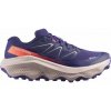 Salomon Ultra Flow 2 GTX W 478843 astral dámské nízké nepromokavé trailové běžecké boty 36 a 2/3 EUR