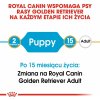 ROYAL CANIN Golden Retriever Puppy - suché krmivo pro psy - 12 kg