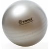 MyBall Togu 65 cm stříbrný