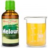 Melón vodný kvapky (tinktúra) 50 ml
